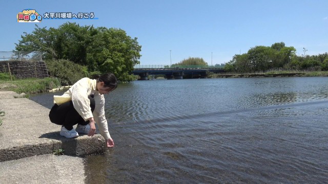 のんびり岡崎歩き「大平川堰堤へ行こう」