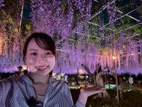 のんびり岡崎歩き