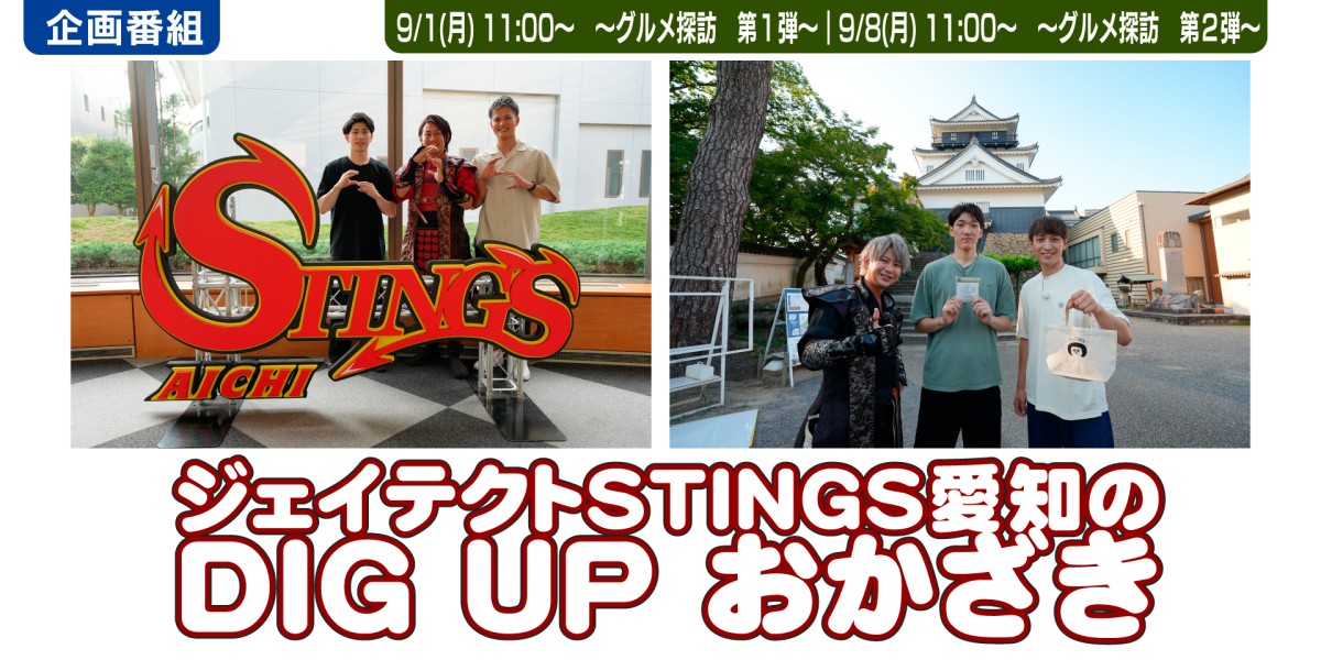 ジェイテクトSTINGS愛知のDIG UP おかざき