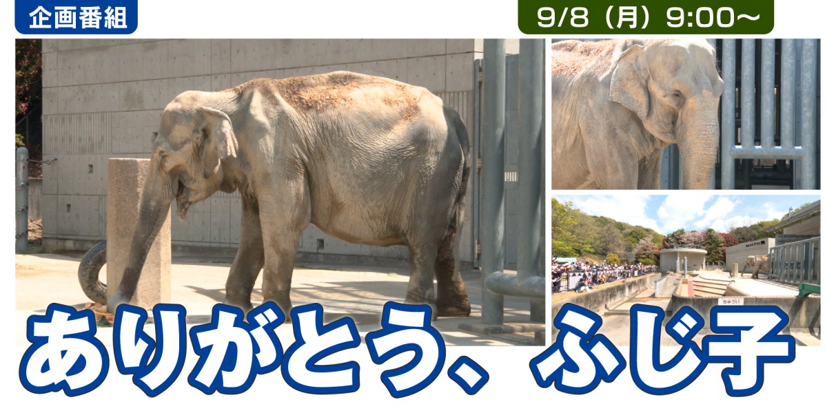 ありがとう、ふじ子