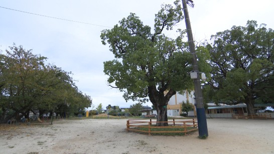 学校インタビューズ