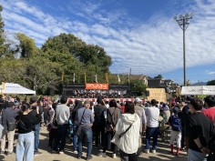 ぬかたふるさとまつり