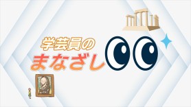 学芸員のまなざし