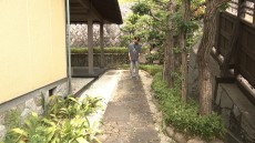 岡崎探検隊‼あれこれリサーチ