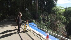 ＷＨＡＴ！？なるほどカンパニー