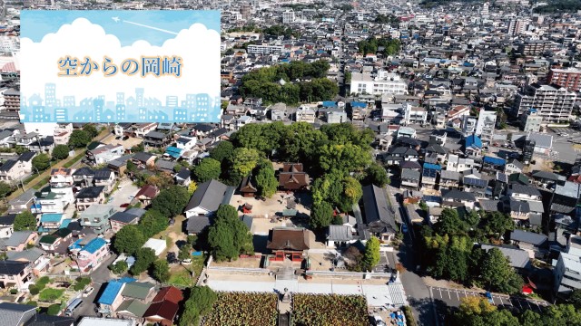 空からの岡崎 伊賀八幡宮