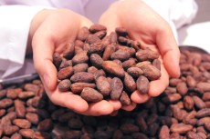 フォト旅はままつ　