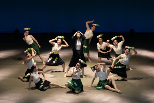 岡崎女子大学・岡崎女子短期大学ダンス部　作品発表会