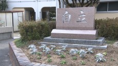 学校インタビューズ