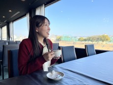 のんびり岡崎歩き 