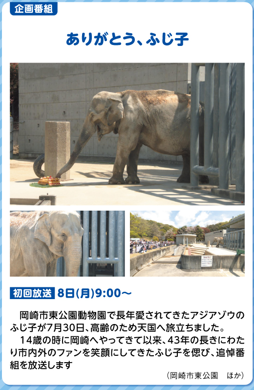 ありがとう、ふじ子