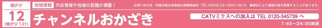 チャンネルおかざきガイドサイト チャンネルおかざきガイドサイト