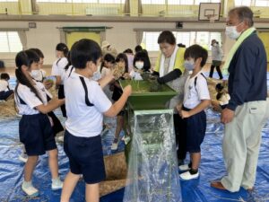 六ツ美中部小 菜の花の搾油体験
