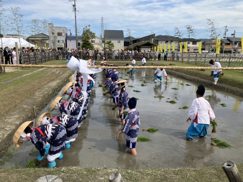 六ツ美悠紀斎田お田植えまつり