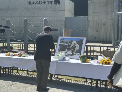 東公園動物園 ふじ子　死去　
