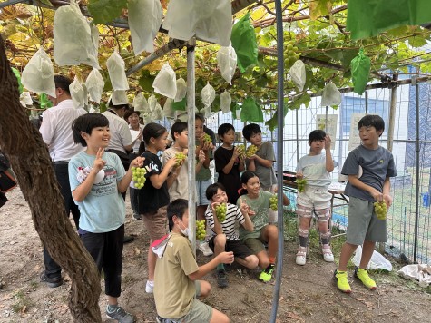 恵田小 「ぶどう初狩り式」行われる