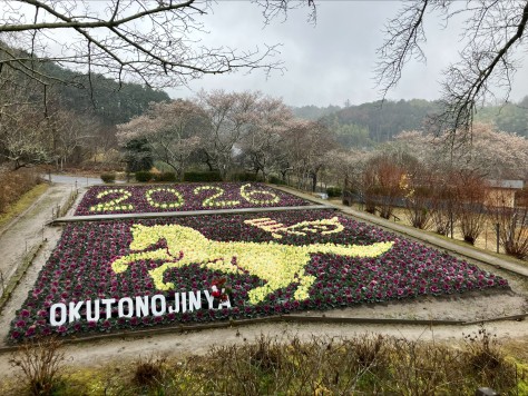 毎年恒例 干支の葉ボタン絵