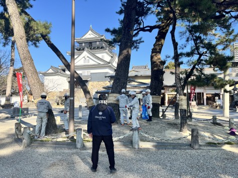 岡崎城公園　松の「こも外し」行われる