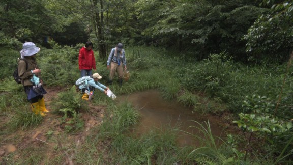 北山湿地で自然調査　行われる　